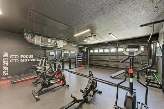 Olympic Oasis | GYM • POOL • GAMES • BBQ • GAINS