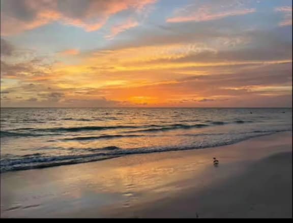 Spring at the Suites*Sandy toes*Sunset strolls*Fun