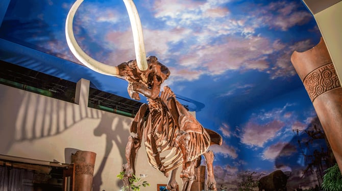Bishop Museum of Science and Nature